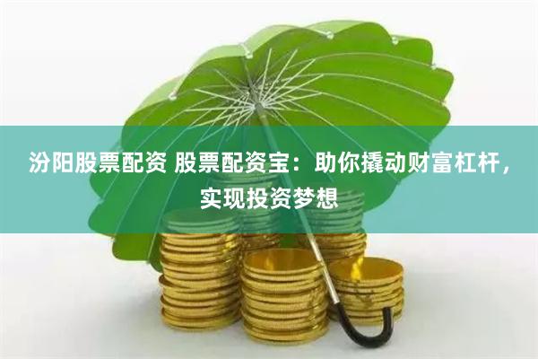 汾阳股票配资 股票配资宝：助你撬动财富杠杆，实现投资梦想
